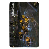 マラードダック マグネット (縦)