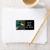 マラードダック ラベル (インサイチュ)