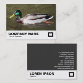 マラードダック 名刺 (正面/裏面)