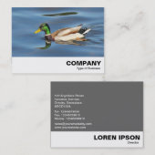 マラードダック 名刺 (正面/裏面)