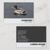 マラードダック 名刺 (正面/裏面)