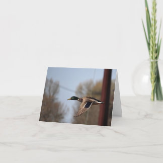 マラードノートカード カード