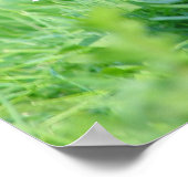 マラードポスター ポスター (角)