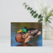 マラードポートレートはがき ポストカード (スタンド正面)