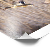 マラードレイクアンドヘンプリント フォトプリント (角)