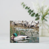 マラード反射はがきカスタマイズ- ポストカード (スタンド正面)