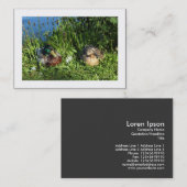 マラード夫妻縁ど 名刺 (正面/裏面)