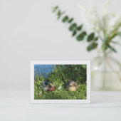 マラード夫妻縁ど 名刺 (スタンド正面)