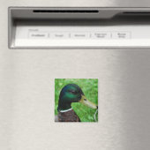 マラード磁石 マグネット (インサイチュ (食洗機))