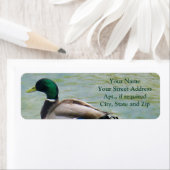 マラード誇りを持ったアヒルを差出人住所ラベルとして ラベル (インサイチュ)