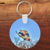 マラード飛んでいるダック・ドレイク野生生物写真 キーホルダー (正面)