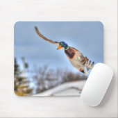 マラード飛んでいるダック・ドレイク野生生物写真 マウスパッド (マウス)