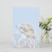 マラード飛んでいるダック・ドレイク野生生物写真 便箋 (スタンド正面)