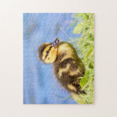 マラード・アヒルの子 ジグソーパズル (縦)