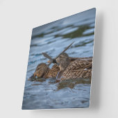 マラード·アヒルグリング スクエア壁時計 (傾斜)