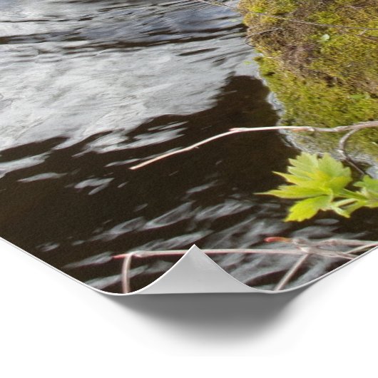 マラード・アヒル夫婦が休憩ポスターを手に ポスター (角)