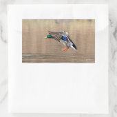 マラード・ダックが飛んでいる 長方形シール (バッグ)