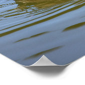 マラード・ダックの写真ポスター ポスター (角)