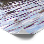 マラード・ダックの写真ポスター ポスター (角)