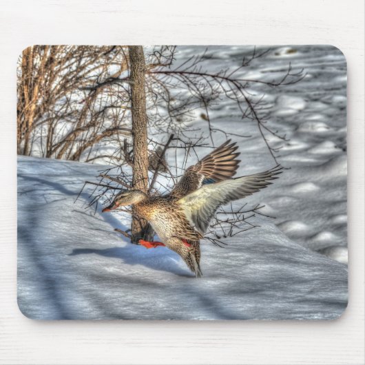 マラード・ダック・バードラバー野生動物写真 マウスパッド (正面)