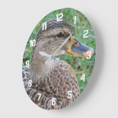マラード・ダック・ヘン写真 ラージ壁時計 (傾斜)
