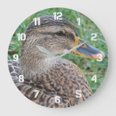 マラード・ダック・ヘン写真 ラージ壁時計 (正面)