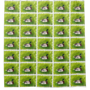 マラード·ダック·写真絵画のシャワーカーテン シャワーカーテン