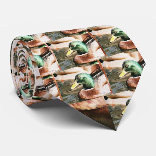 マラード・ドレイク ネクタイ (ロール)