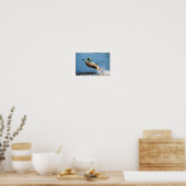 マラード・ドレイク ポスター (キッチン)