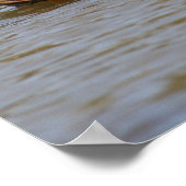 マラード ポスター (角)