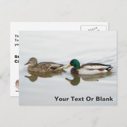 マラード 案内ポストカード (正面/裏面)