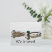 マラード 案内ポストカード (スタンド正面)