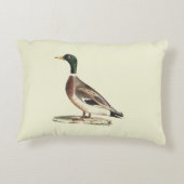 マラールまたは野生のアヒル(Anas platyrhynchos) アクセントクッション (裏面)