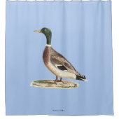 マラールまたは野生のアヒル(Anas platyrhynchos) シャワーカーテン (正面)