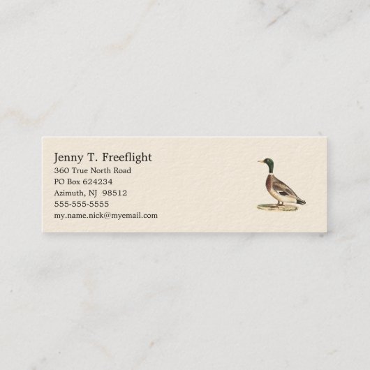 マラールまたは野生のアヒル(Anas platyrhynchos) スキニー名刺 (裏面)