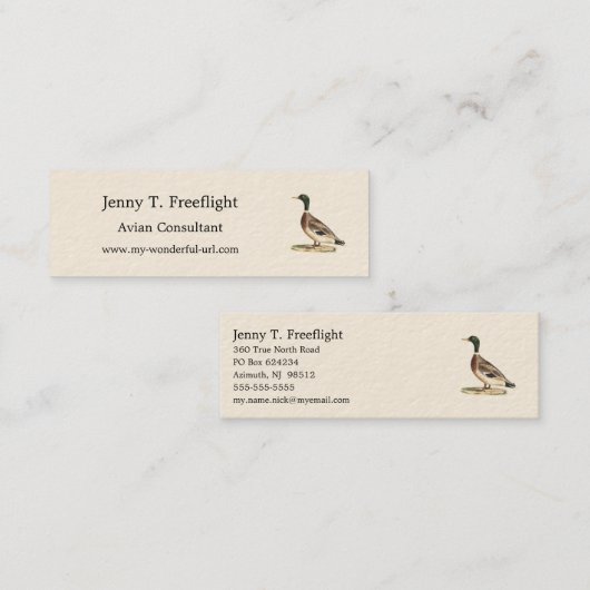 マラールまたは野生のアヒル(Anas platyrhynchos) スキニー名刺 (正面/裏面)