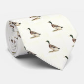 マラールまたは野生のアヒル(Anas platyrhynchos) ネクタイ (ロール)
