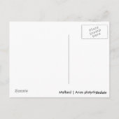 マラール ポストカード (裏面)