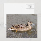 マラール ポストカード (正面/裏面)