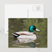 マラール ポストカード (正面/裏面)