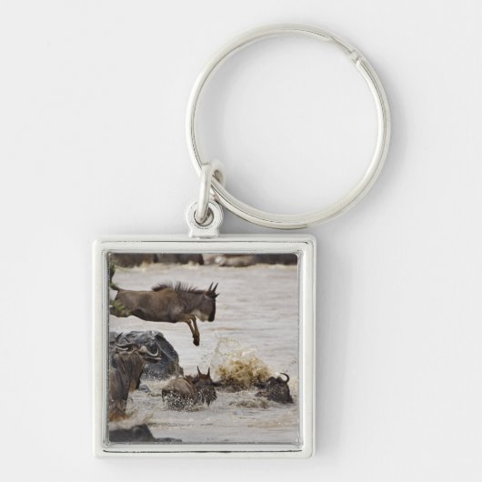 マラ川に飛び込むワイルド キーホルダー (正面)