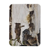 マラ川に飛び込むワイルド マグネット (縦)