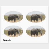 マラ象 楕円形シール (シート)