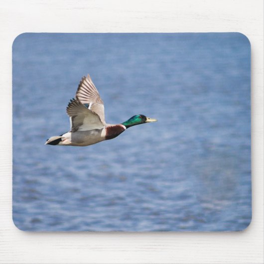 マラ飛んでいるード マウスパッド (正面)