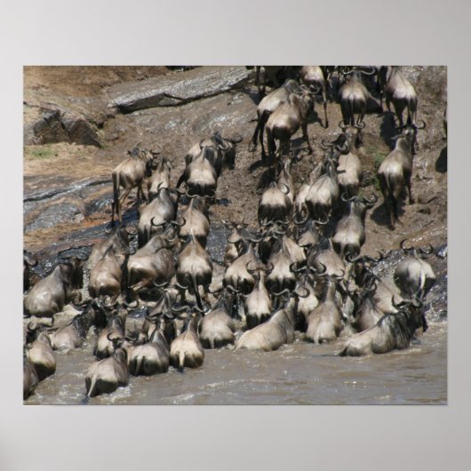 マラ・ウィルド・ベスト ポスター (正面)