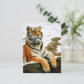  – マラ –  ポストカード (スタンド正面)