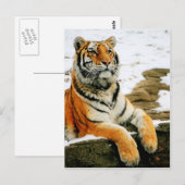  – マラ –  ポストカード (正面/裏面)