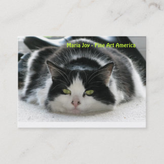 マリアの喜び-ファインアートアメリカ。 名刺