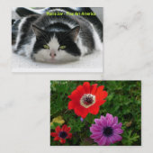 マリアの喜び-ファインアートアメリカ。 名刺 (正面/裏面)