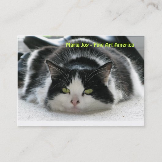 マリアの喜び-ファインアートアメリカ。 名刺 (正面)